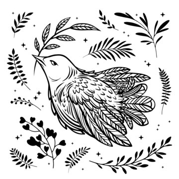 White dove with olive branch, bird, florals and branches vector collection. International Day of Peace concept, symbol of love and freedom