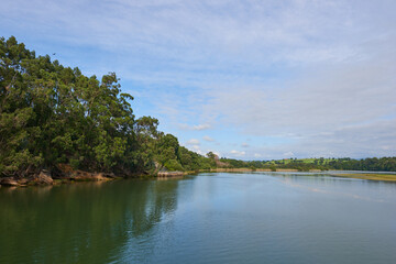 Fototapeta na wymiar A river with vegetation along its banks under a cloudy sky