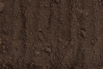 Black land for plant background. Top view.