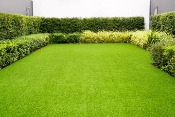 Grass field meadow green on the garden front of the house.