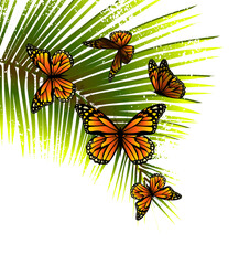 Palm leaf with butterflies. Vector illustration