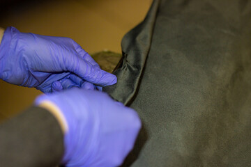 The process of tightening the car interior.Tailor's hands in blue gloves while working with fabric.Tightening of the car interior.The hands of a girl in blue gloves during work are selective focus.