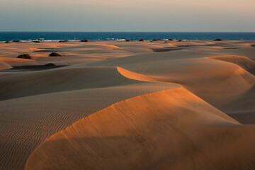 view of the dunes of maspalomas  at sunset  with the beach in the background . Gran Canaria. Canary Islands