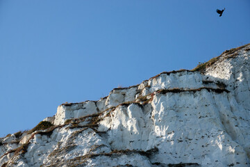 White Cliffs. Winter haze in the UK