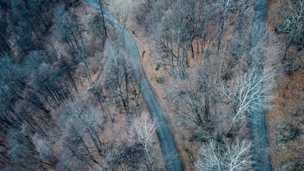 Aerial high angle view of narrow winding curvy mountain road among the trees in winter forest. Bird's eye view landscape.