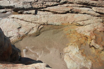 Sea water pool on Rock