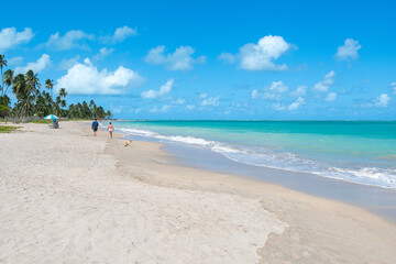Wide view of Barra Grande beach, Maragogi - AL, Brazil. Famous beach, beautiful coastal destination of Alagoas state.