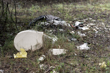 Garbage and debris scattered in the forest.