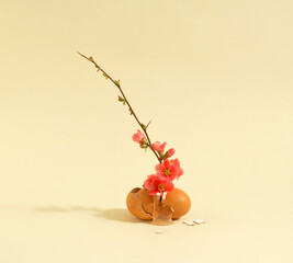 Minimal concept spring blossomed orange flowers in the eggshell. Creative idea on pastel beige background.