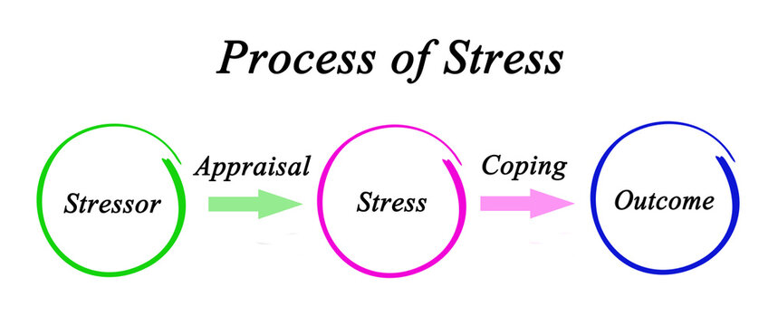 Components of Process of Stress
