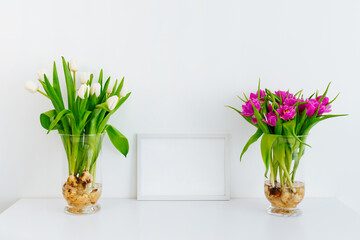 Two bouquets of white and purple tulips on the table