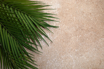 Palm Sunday background with green tropical tree leaves on stone