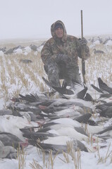 Naklejka premium Hunter with a pile of snow geese taken on a snowy day