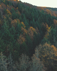 autumn in the mountains