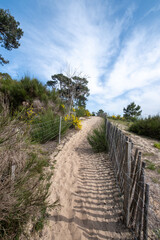Fototapeta na wymiar CAP FERRET (Bassin d’Arcachon, France). Chemin dans la dune