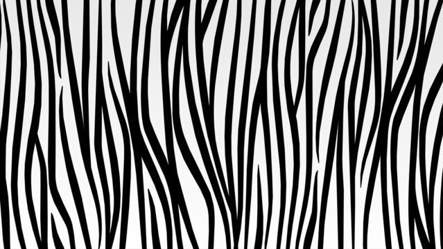 Zebra print, animal skin, abstract pattern, stripe background, fabric. Amazing hand drawn vector illustration. Posters, banners. Monochrome black and white