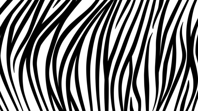 White Tiger stripes pattern Free Vector