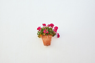 Flower pot hanging on a wall