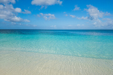 Fototapeta premium Morning at Eagle Beach at Aruba