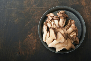 Fresh oyster mushrooms. Iron old bowl of delicious organic oyster mushrooms on old wooden background, top view with space for text.