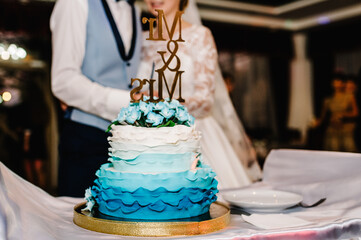 Bride and a groom is cutting their rustic wedding cake on wedding banquet. Hands cut the cake with delicate blue flowers. Close up.