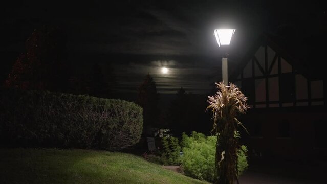 Panning shot of a light pole and full moon on a summer night