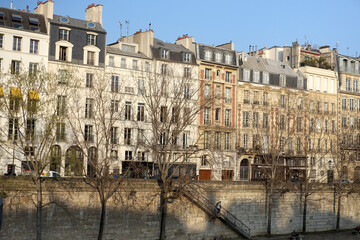 Immeubles sur l'île Saint Louis au bord de la Seine - obrazy, fototapety, plakaty
