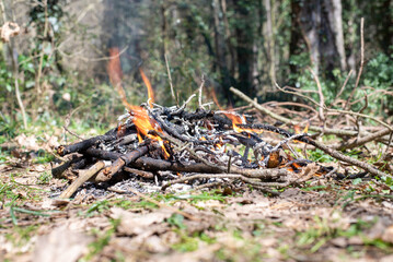 camp Fire