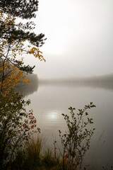 Foggy morning on the northern lake. The sun shines through a veil of fog