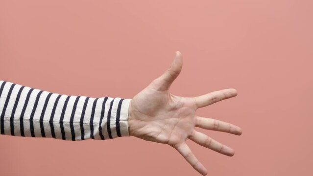Female hand counting from 0 to 5 on pink background. Woman shows fist fist, then one, two, three, four, five fingers and bends the fingers, counting from five to one. Close up. 4k video