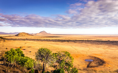 Savannah plains landscape in Kenya - 495273809