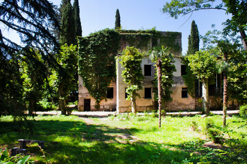 Fototapeta premium An abandoned apartment building with a yard after the war, overgrown with greenery and ivy on a sunny summer day many years later in Abkhazia
