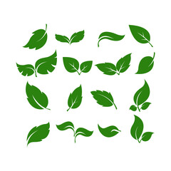 A set of green leaves. Simple flat vector illustration on a white background