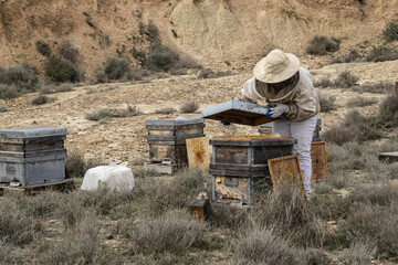  Beekeeper in protective suit closing hive lid
