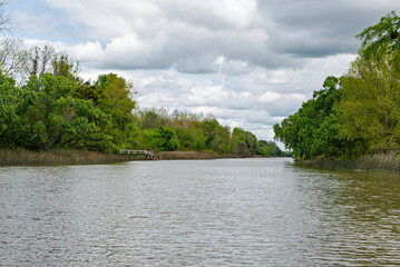 Paisaje isleño de Campana, Buenos Aires, Argentina, sobre el río Paraná