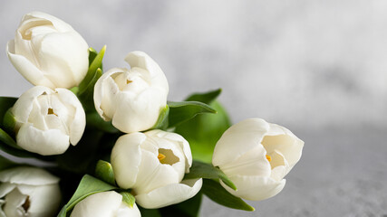 Fototapeta na wymiar white tulips in the table 