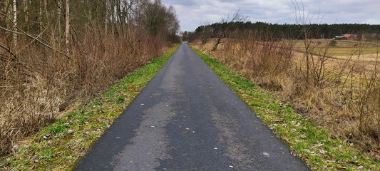 Ścieżka w lesie. © WalDec