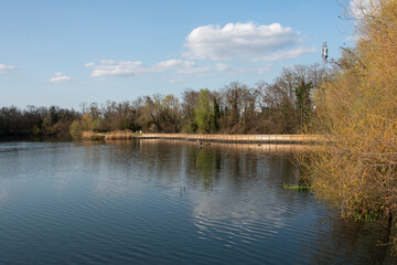 Fototapeta na wymiar Lac , hiver, espace naturel protégé, Viry Châtillon, 91 ,Essonne,