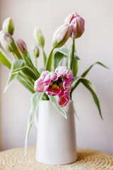 Pink tulip flower bouquet with green fresh stems in a white porcelain jar vase on a white wall background. Vibrant colourful botany floral home decor idea.