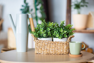 beautiful flowers in the interior