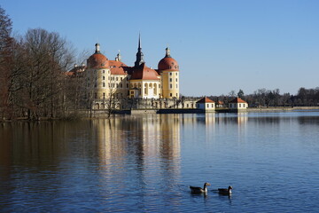 Fototapeta na wymiar Blick zum Schloss Moritzburg in Sachsen