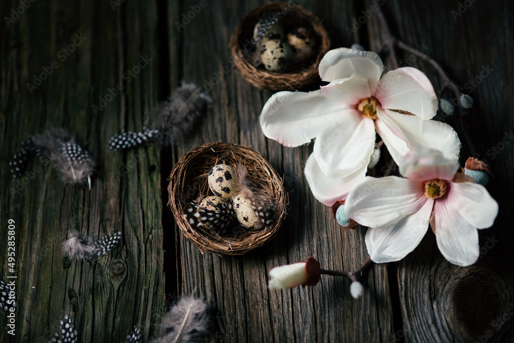 Wall mural Beautidul Easter decorations of quail eggs and magnolie on wooden background