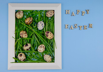 top view of a creative Happy Easter card with quail eggs and green grass on a blue background