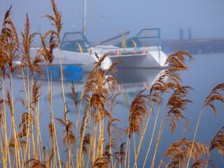 Seegras Schilf vor einer Marina fokussiert mit Hafenanlage und Boot im Hintergrund