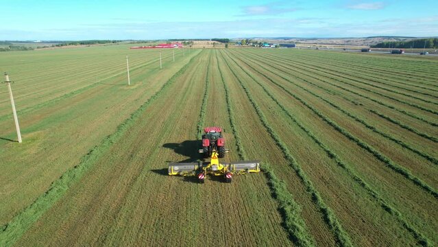 A tractor in the field collects freshly mown grass. Agricultural work in the field.
