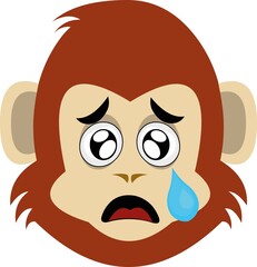 Vector illustration of the face of a cartoon monkey or gorilla, with a sad expression and a tear falling from his eye