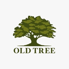 oak tree banyan logo design inspiration
