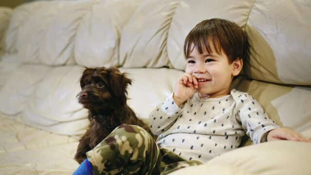 A two-year-old is genuinely laughing, watching TV with a puppy