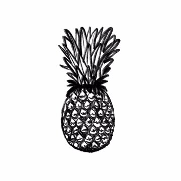 Isolated pineapple on a white background. Hand drawn pineapple. 