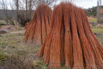 Wicker blocks collected for handicraft work